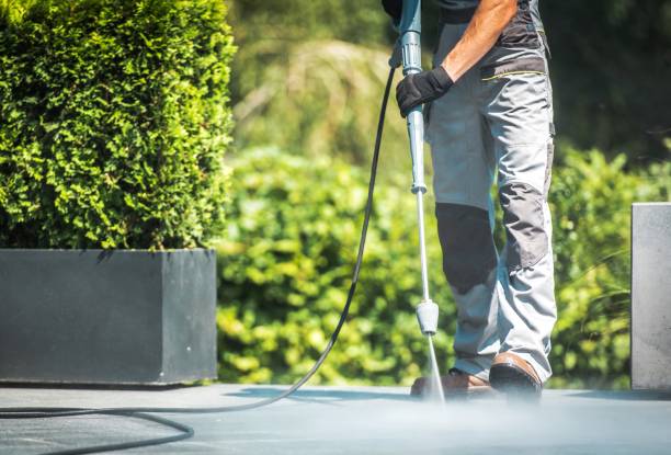 Best Paint Preparation  in Long Creek, IL
