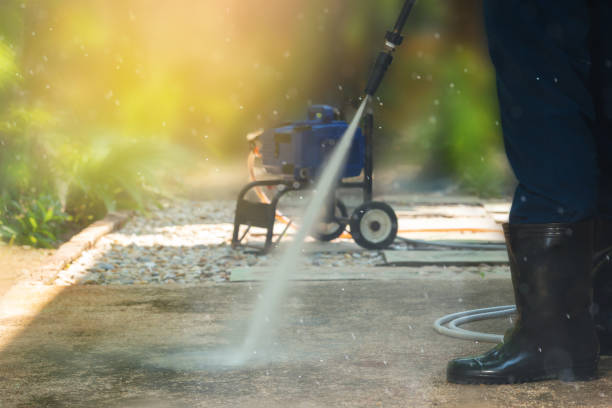 Best Solar Panel Cleaning  in Long Creek, IL